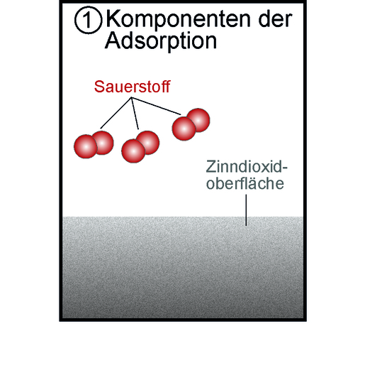 Komponenten der Adsorption